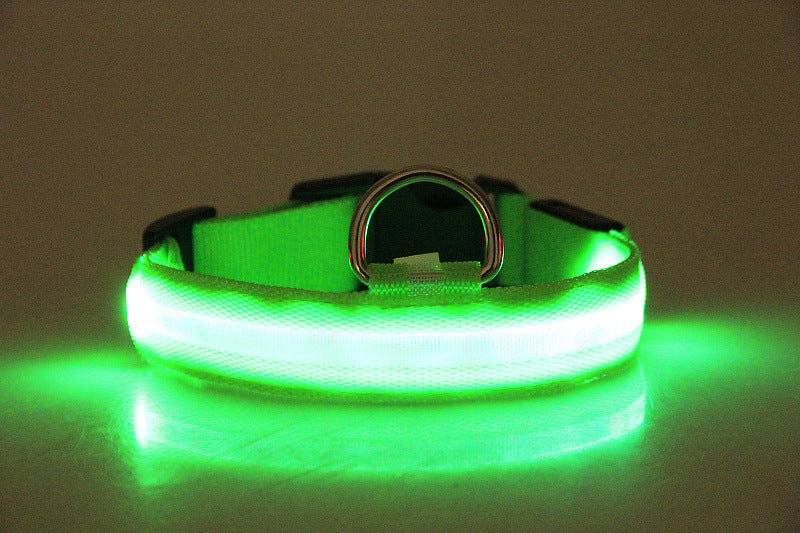 led lighting collar for dogs Liratech Europe