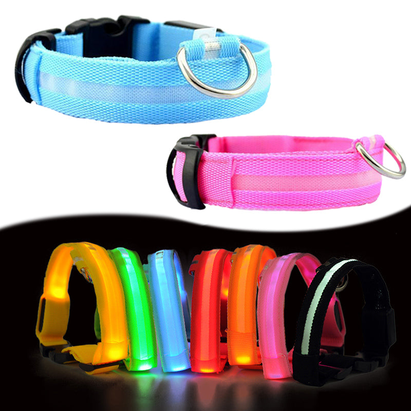 led lighting collar for dogs Liratech Europe