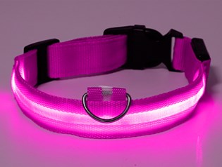 led lighting collar for dogs Liratech Europe