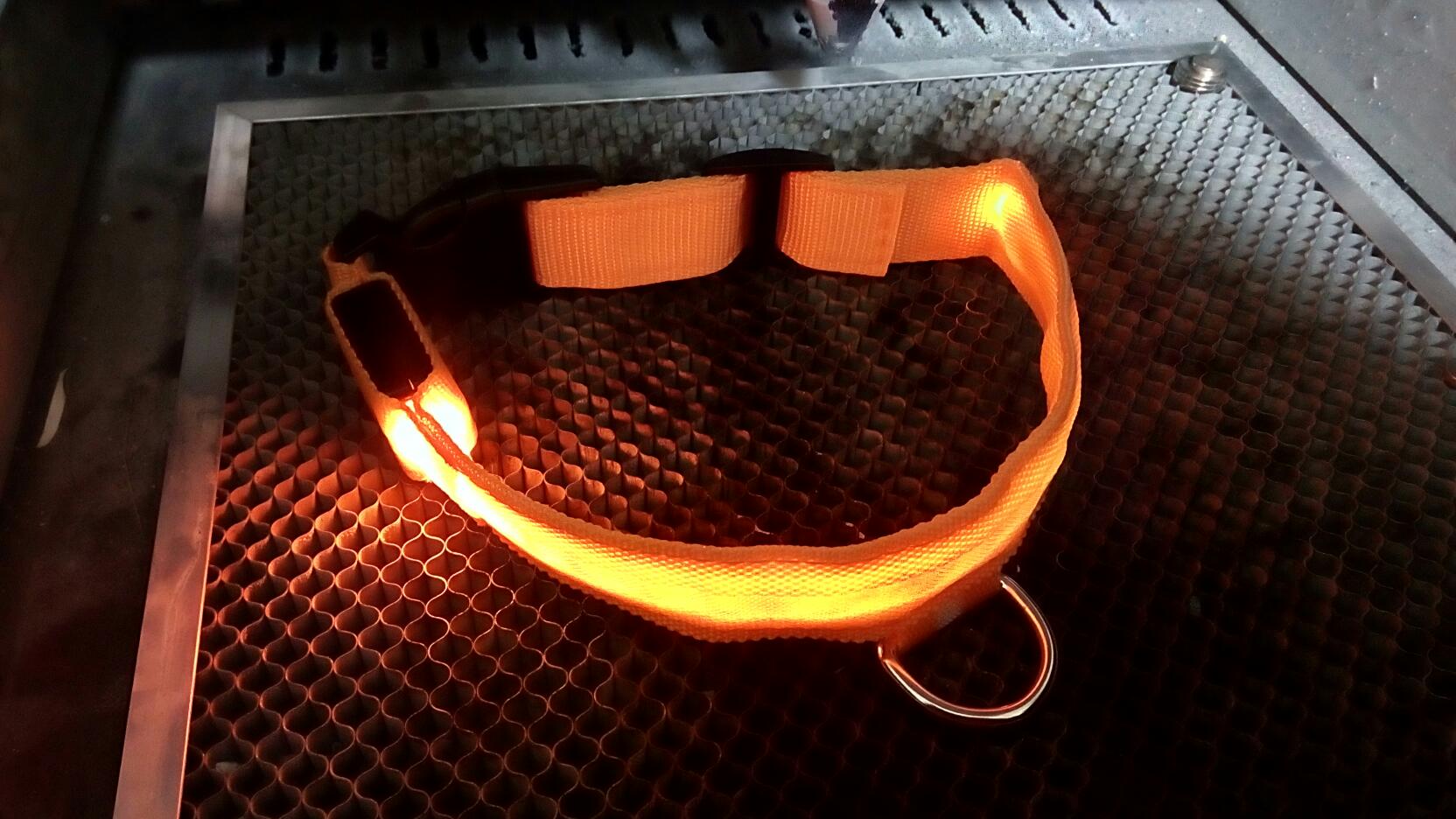 led lighting collar for dogs Liratech Europe